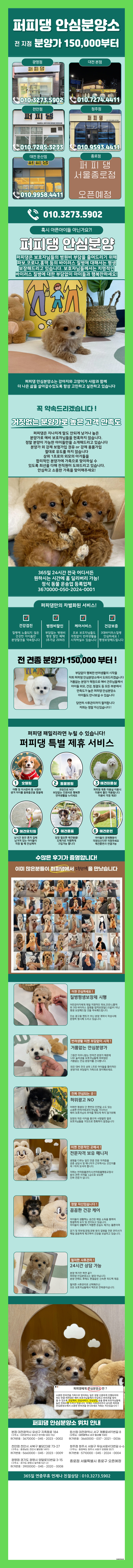  파주강아지무료분양 이젠 외롭지 않아