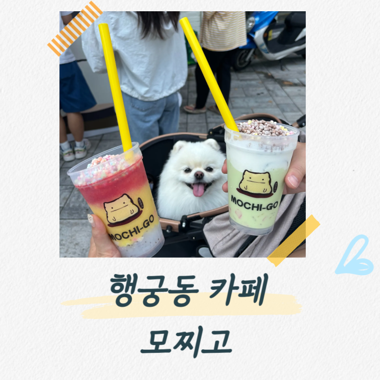  행궁동 카페 애견동반 가능한 테이크아웃 행궁동 맛집, 모찌고
