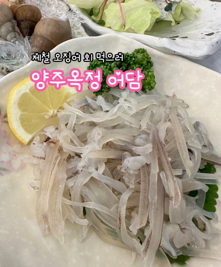  양주옥정 어담_오징어회, 회정식 맛볼 수 있는 옥정동 횟집