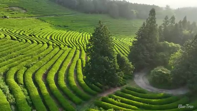  부산 반려동물의료비지원 , 반려동물관리사 자격증 1달 만에 합격한 후기 , 활용 방법