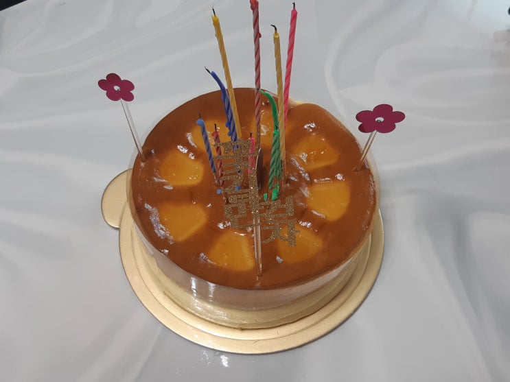  8월 첫째 주 일상