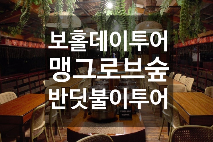  필리핀 보홀 관광 추천 맹그로브 숲 반딧불이 투어
