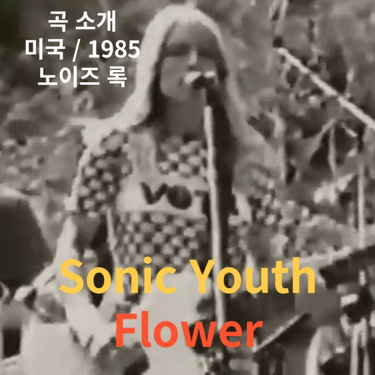  Sonic Youth : Flower [가사/해석]