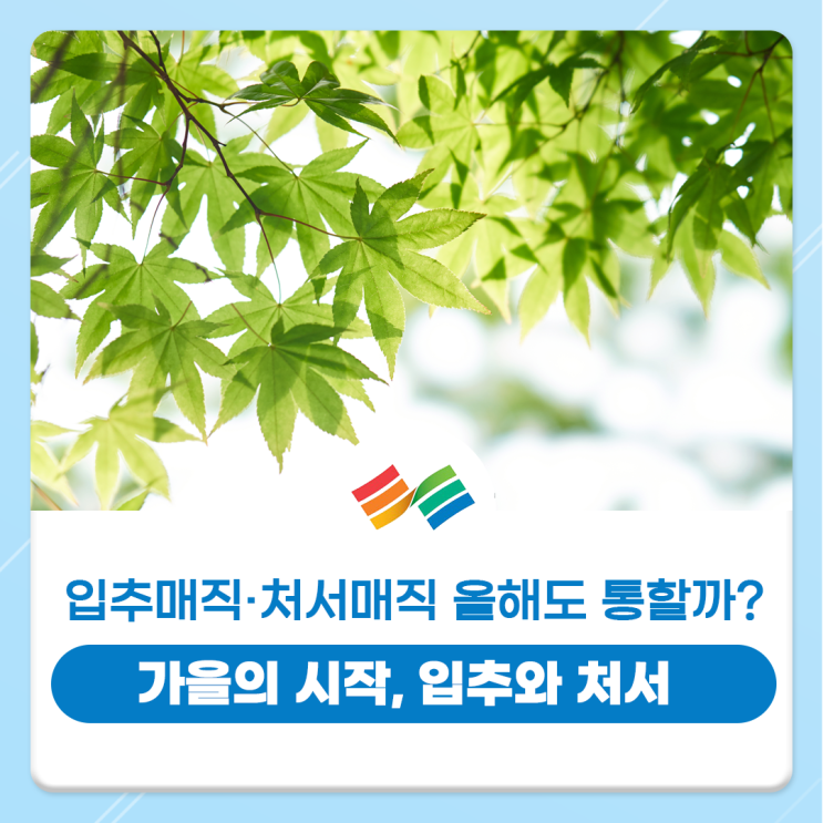 24년 입추·처서 날짜는 언제? 입추 뜻, <b>처서 날씨</b>, 입추매직... 