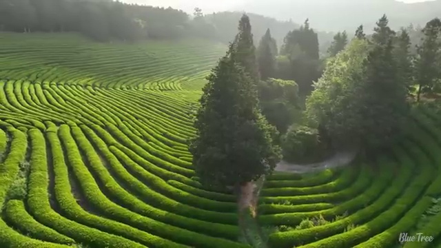  도봉구 방학3동 변기막힘린스 문제 해결 로드맵