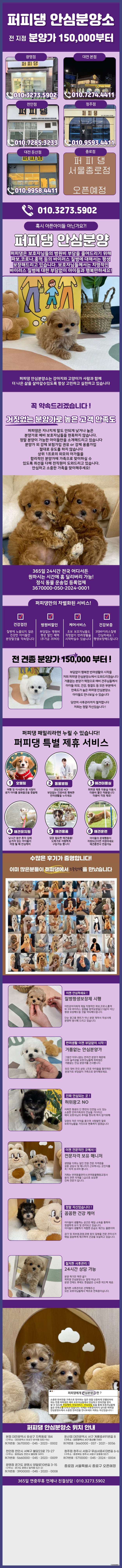  서울강아지무료분양 지인 소개가 많죠