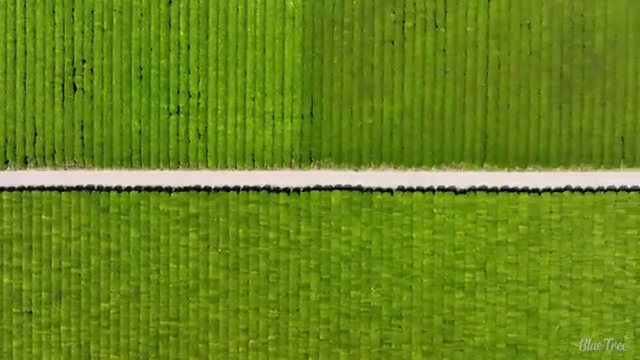  리스 합리적인 후기
