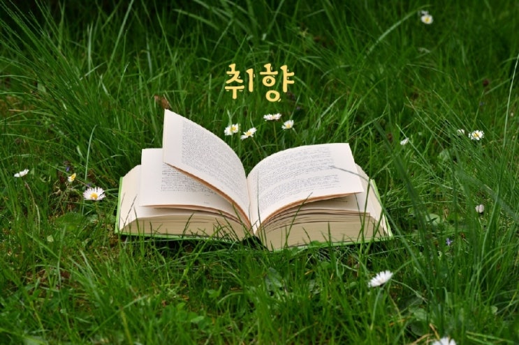 취향 _채움의 여가 '책이랑 놀자' 취향 _채움의 여가 '책이랑 놀자'