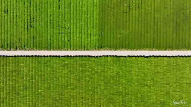  동작구 노량진 세면대 하수구 막힘 쉽고 빠른 해결법