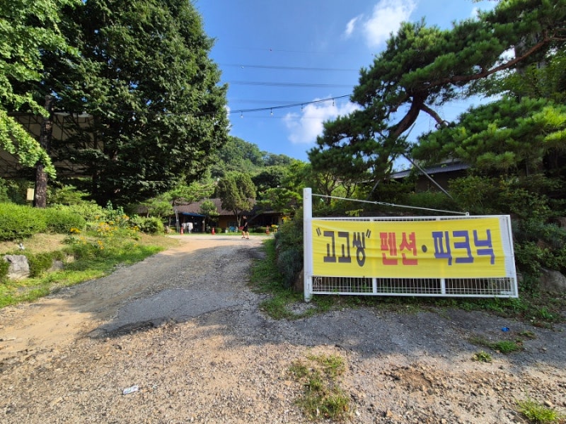 사진 3