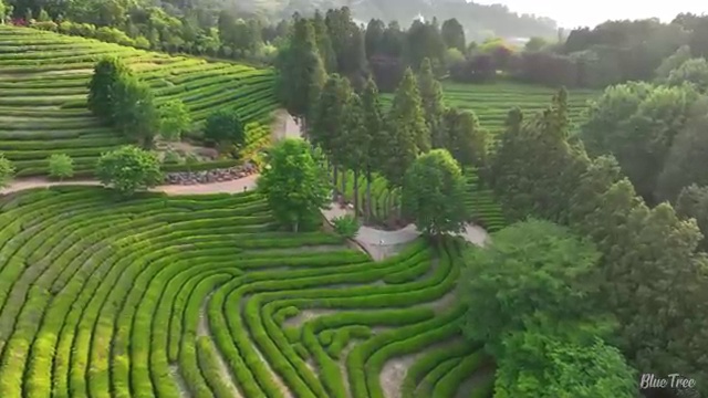  레이장기렌트 렌트 , 저비용으로 비용 산출 하기