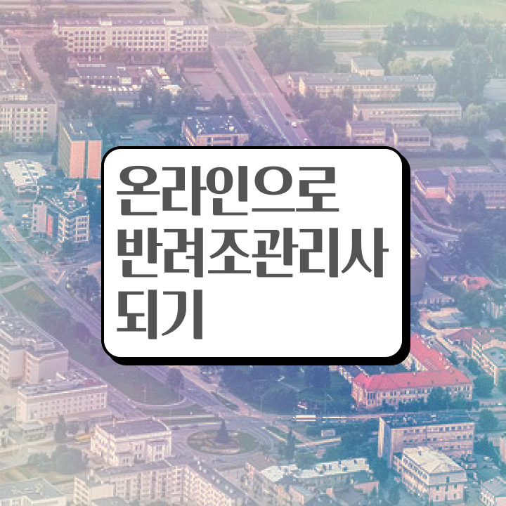  사랑앵무번식 , 반려조관리사 자격증 단기간에 합격한 팁 핵심 공개
