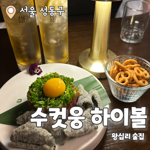  수컷웅하이볼 : 고급진 안주에 분위기 좋은 왕십리역술집 추천 후기
