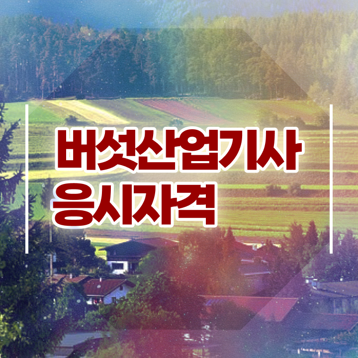  버섯산업기사 자격요건 인강으로 5달만에 완료한 과정