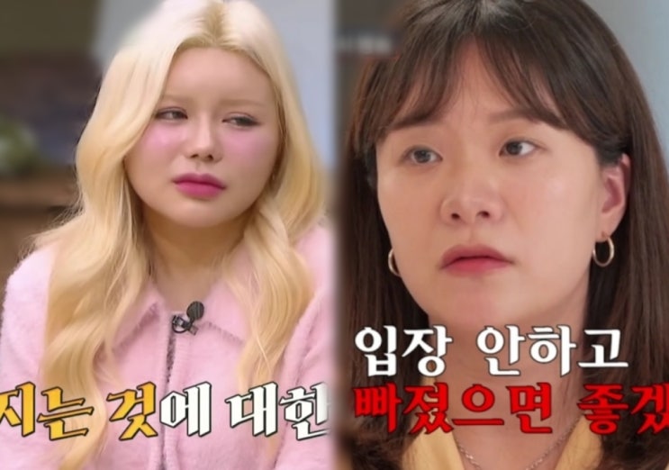 조선의 사랑꾼 <b>김승현 장정윤</b> 수빈 안타까운 사연 해명글이... 