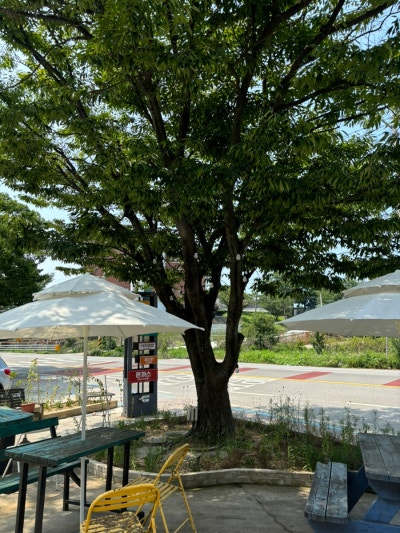 사진 2
