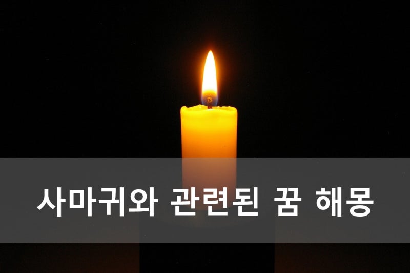 사마귀와 관련된 꿈 해몽