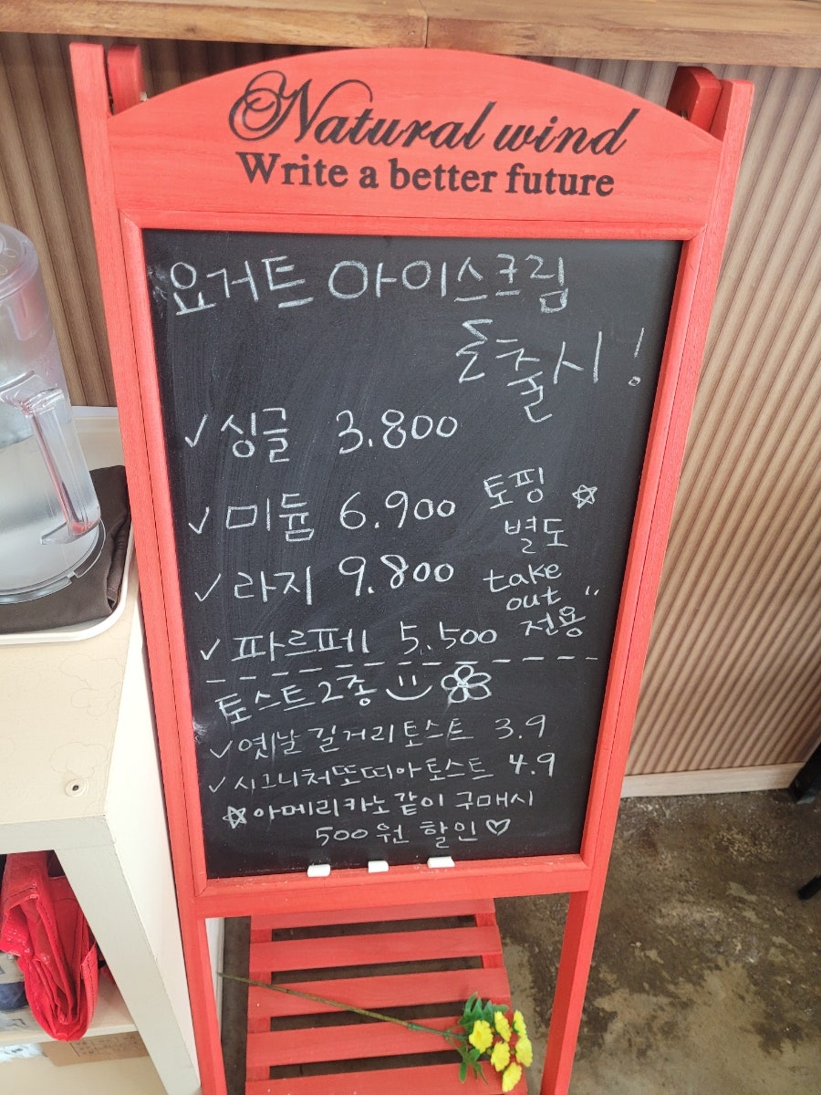 샐리아리 사진 5