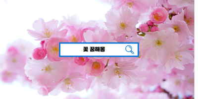  [꿈해몽풀이] 꽃꿈해몽, 꽃다발꿈, 벚꽃꿈