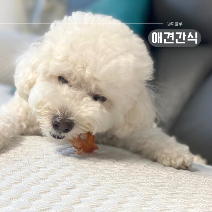  하루올데이 터키츄 강아지 오래먹는 간식 칠면조