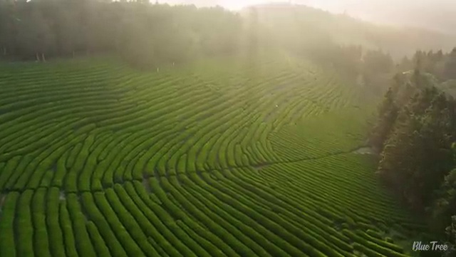  용산구 원효로2동 청년배관케어 변기막힘 뚫어뻥 bye bye!