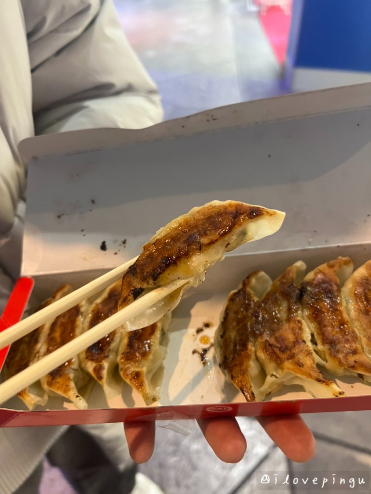  일본 오사카 유니버셜 맛집 간식으로 먹기 좋은 551호라이만두