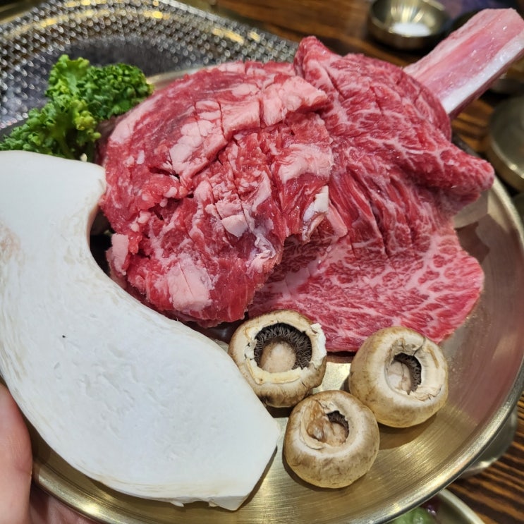  영천한우맛집  고기질이 정말 좋은 안동권가갈비