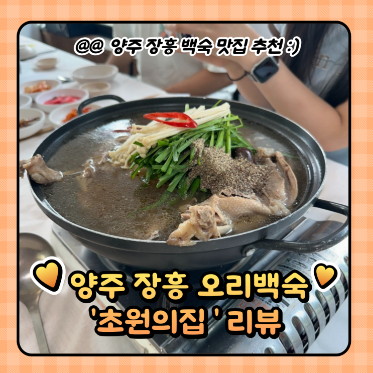  장흥유원지 맛집 : 계곡 축구장 있는 초원의집 양주 오리백숙 리뷰