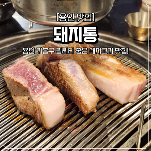  기흥태라타워 맛집 돼지통 용인 퀄리티 좋은 돼지고기집