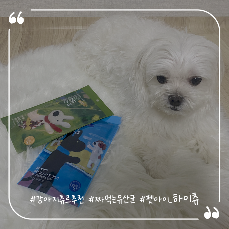  강아지츄르추천 반려동물습식간식 짜먹는유산균 펫아이 하이츄