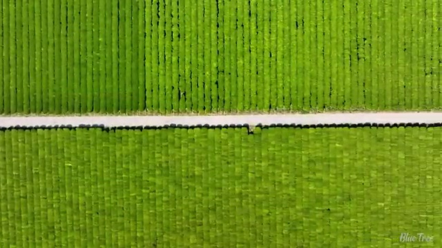  렌트 정말 유리한 절세 방법 초기 비용 없이 주목해보세요 !