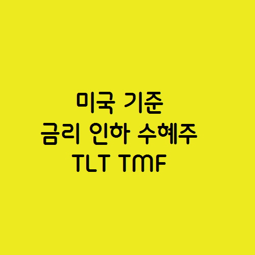  미국 기준 금리 인하 수혜주 장기 채권 ETF TLT TMF