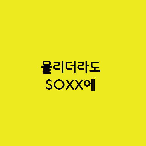  물리더라도 엔비디아 한미반도체 SK하이닉스보다는 SOXX에
