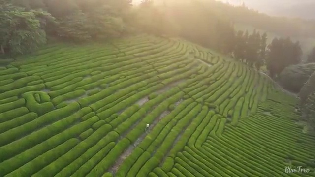  강동구 둔촌동 청년배관 싱크대배수구막힘 효과 만점 대책