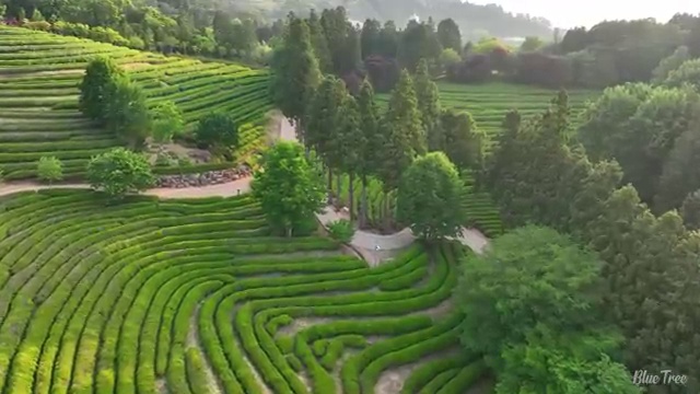  가정용 음식물 처리기 필요하다면 필수적으로 살펴보세요