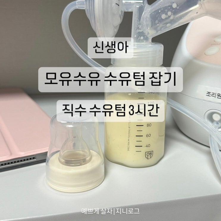  모유수유 도전기 | 신생아 모유수유 수유텀 잡기(직수 수유텀 3시간)