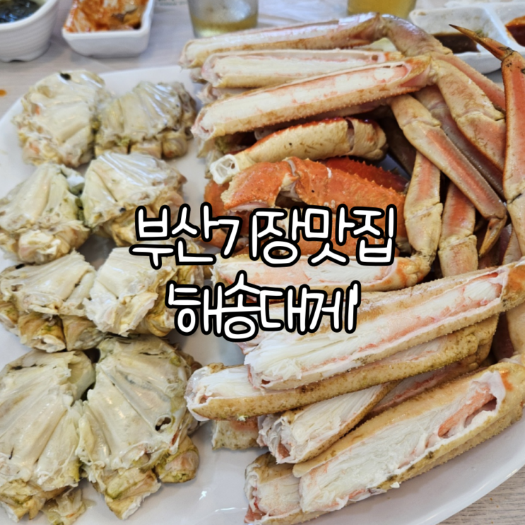  부산 기장 맛집 '해송대게' | 생활의 달인 대게 맛집 내돈내산 후기(+ 가격 및 주차장)