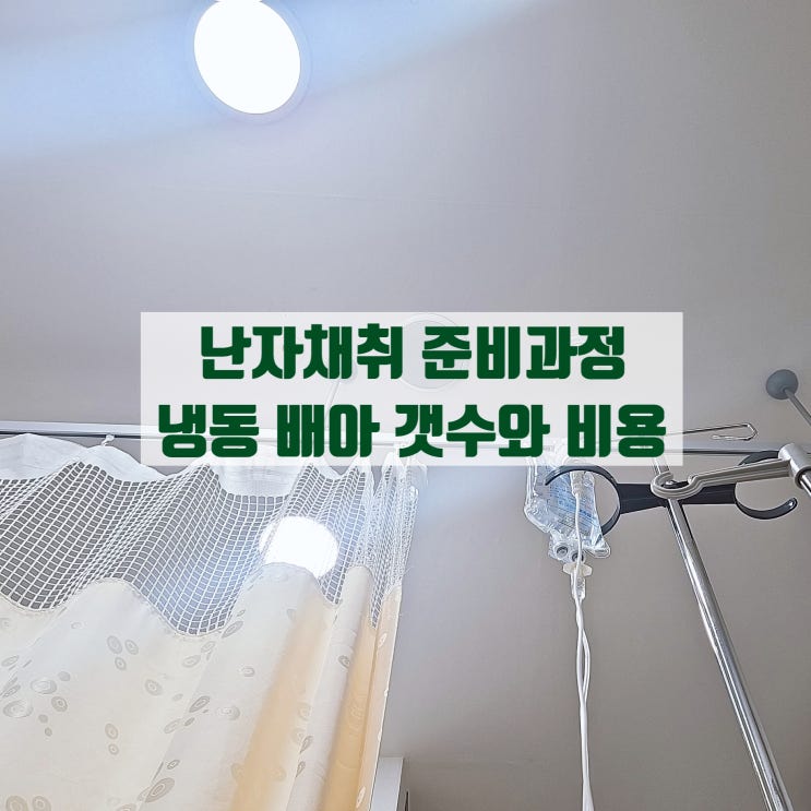  광주 난임 시험관 준비 난자 채취 배아 개수, 냉동 비용