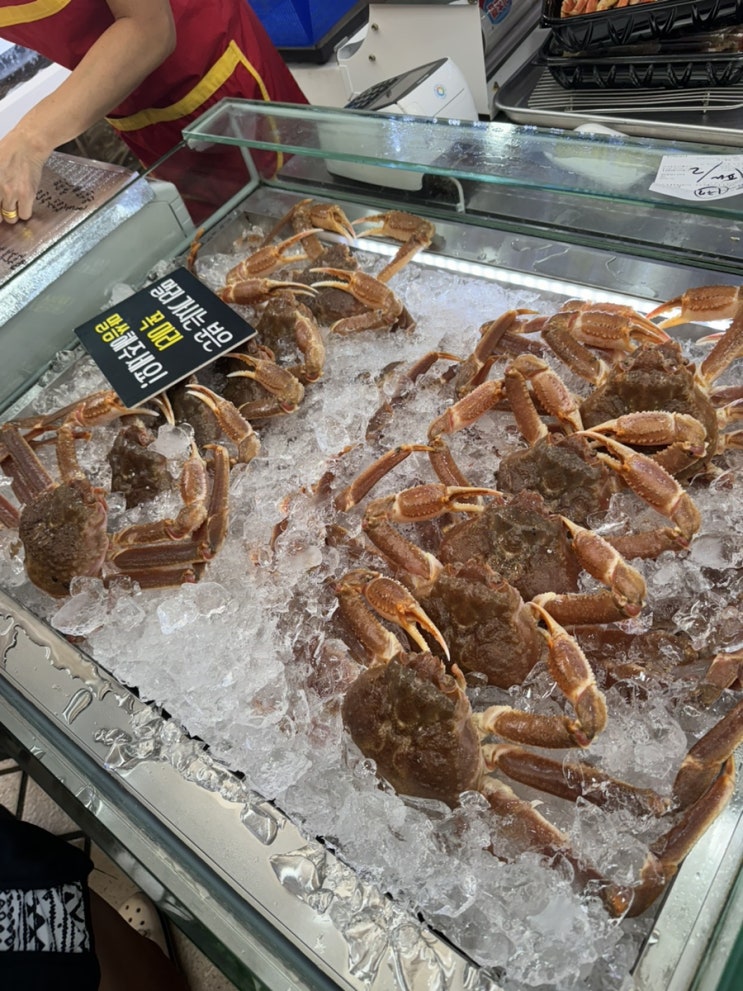  [주말일상] 속초여행 속초관광수산시장 맛집 게싸다구 새우아저씨 누룽지오징어순대 예스닭강정 모녀가리비 비교 설악젤라또 속초 드라이브