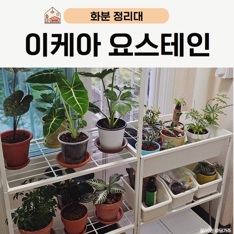 화분 선반 화분 정리대 베란다 선반 이케아 요스테인 추천