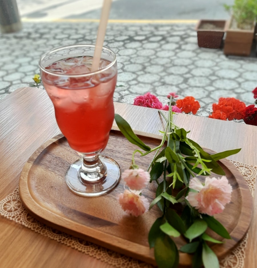 코이노니아 사진 2