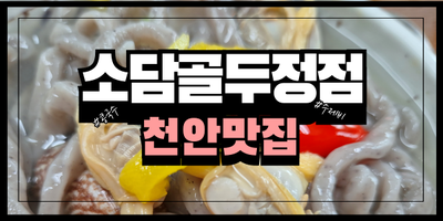  [천안맛집] 폭염에 먹으면 더 좋은 콩국수 맛집 소담골두정점