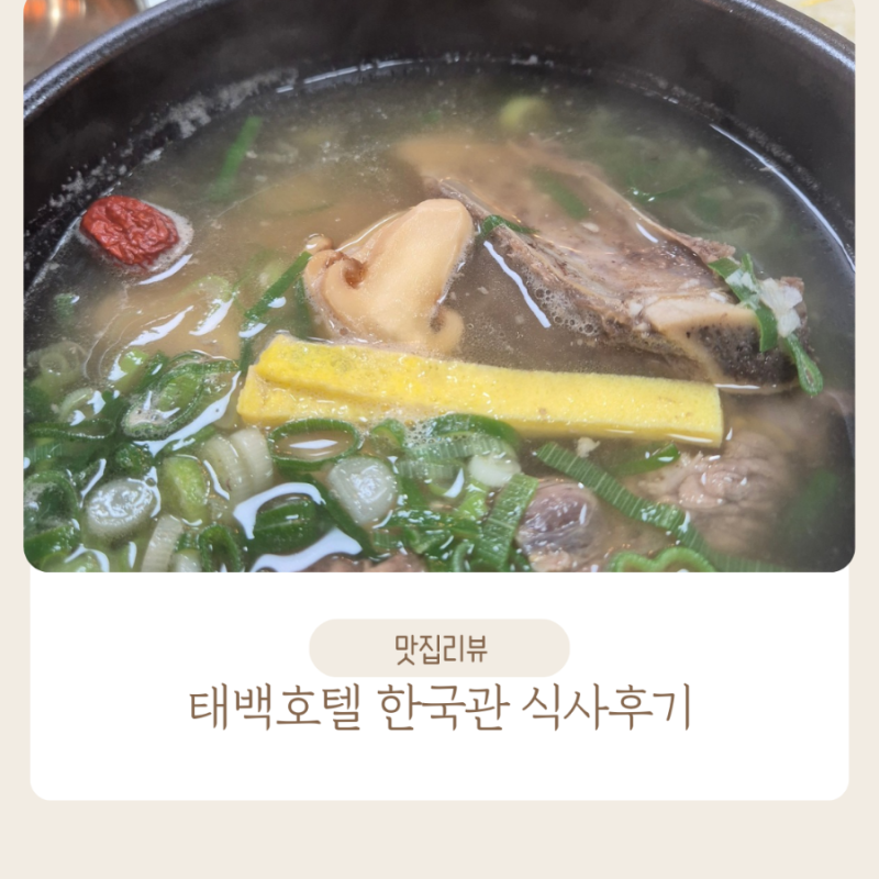 태백호텔 한식당 한국관 식사 후기