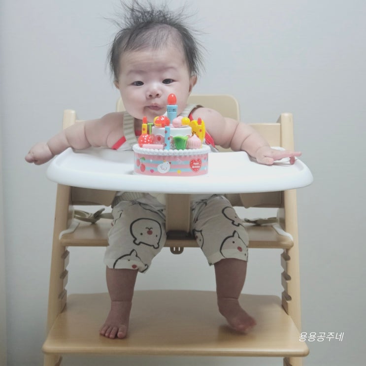  5개월 아기 육아템 생일 축하해 블루래빗 꼬꼬맘 생일 케이크