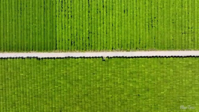  10세 초등저학년영어과외 엘리하이로 1:1관리 받아요.