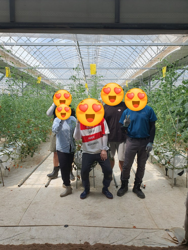  청년농부사관학교 11기 비즈니스플랜 2주차