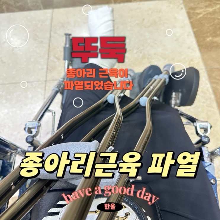  왼쪽 종아리 근육에서 뚝, 뚜둑소리 비복근 파열 반깁스 초음파 후기