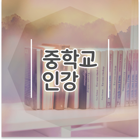  중학교2학년 중등수학 개념서 엠베스트 중등 커리큘럼 정리