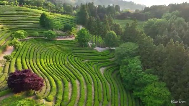  서울 결혼박람회 , 웨딩 스튜디오 선택의 모든 것 최고의 스튜디오는? , 결혼박람회에서 결혼준비 빠짐없이