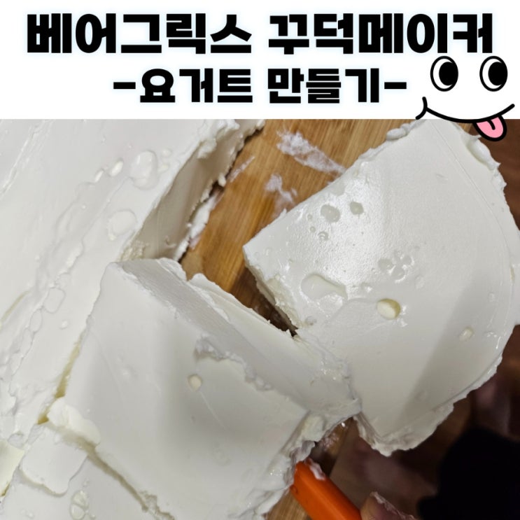  그릭요거트 메이커 추천!! 베어그릭스 대용량(4L) 꾸덕메이커(그릭요거트 만들기/유청분리기/최대 대용량)